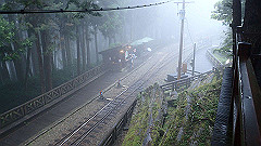 p5161376_thumb.jpg