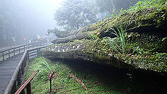 p5161378_thumb.jpg