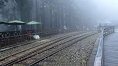 p5161380_thumb.jpg