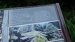 p5161383_thumb.jpg