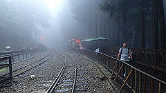 p5161385_thumb.jpg