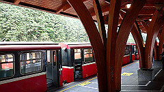p5161403_thumb.jpg