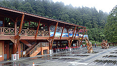 p5161407_thumb.jpg