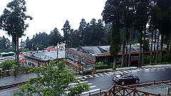 p5161408_thumb.jpg
