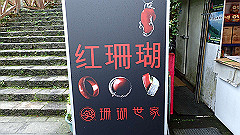 p5161419_thumb.jpg