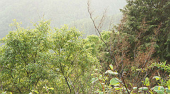 dsc00918_thumb.jpg