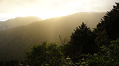 dsc00920_thumb.jpg