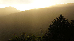dsc00925_thumb.jpg