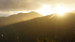dsc00937_thumb.jpg