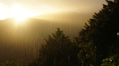 dsc00938_thumb.jpg