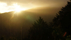dsc00939_thumb.jpg