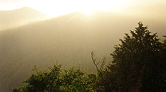 dsc00942_thumb.jpg
