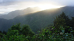 dsc00955_thumb.jpg