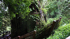 dsc00959_thumb.jpg