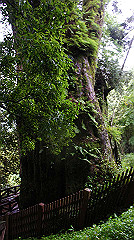 dsc00960_thumb.jpg