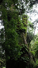 dsc00961_thumb.jpg
