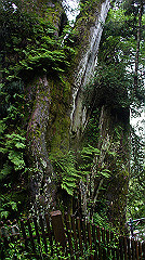 dsc00962_thumb.jpg