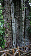 dsc00967_thumb.jpg