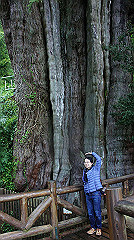 dsc00971_thumb.jpg