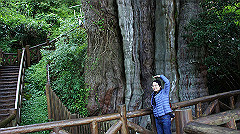 dsc00972_thumb.jpg