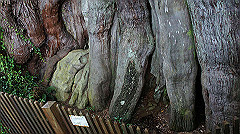 dsc00975_thumb.jpg