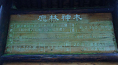 dsc00978_thumb.jpg