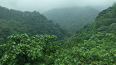 img_4761_thumb.jpg