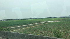 img_4782_thumb.jpg