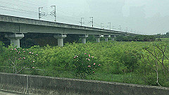 img_4785_thumb.jpg