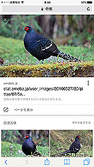 img_4818_thumb.jpg