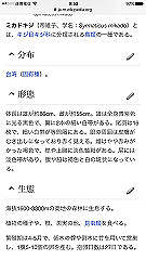 img_4819_thumb.jpg