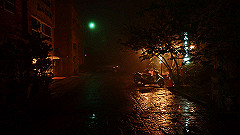 p5171461_thumb.jpg