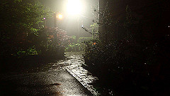 p5171462_thumb.jpg