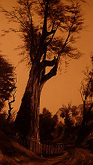 p5171467_thumb.jpg