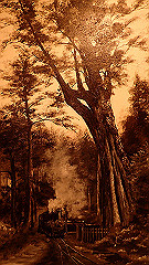 p5171471_thumb.jpg
