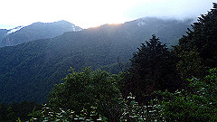p5171474_thumb.jpg