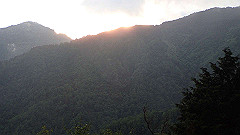 p5171481_thumb.jpg