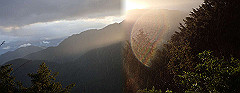 p5171502_thumb.jpg