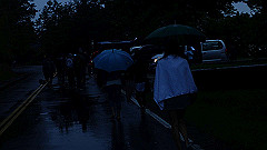p5171508_thumb.jpg