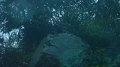 p5171515_thumb.jpg