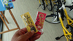 p5171537_thumb.jpg