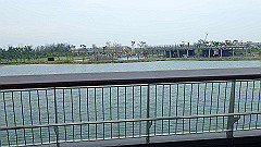 p5171550_thumb.jpg
