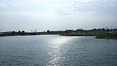 p5171554_thumb.jpg