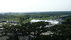 p5171567_thumb.jpg