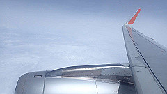 p5181612_thumb.jpg