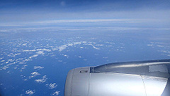p5181615_thumb.jpg