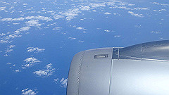p5181616_thumb.jpg