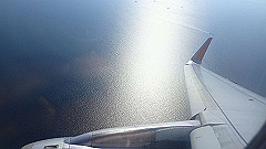 p5181645_thumb.jpg