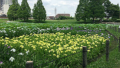 img_5179_thumb.jpg