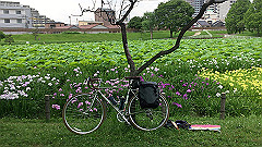 img_5180_thumb.jpg